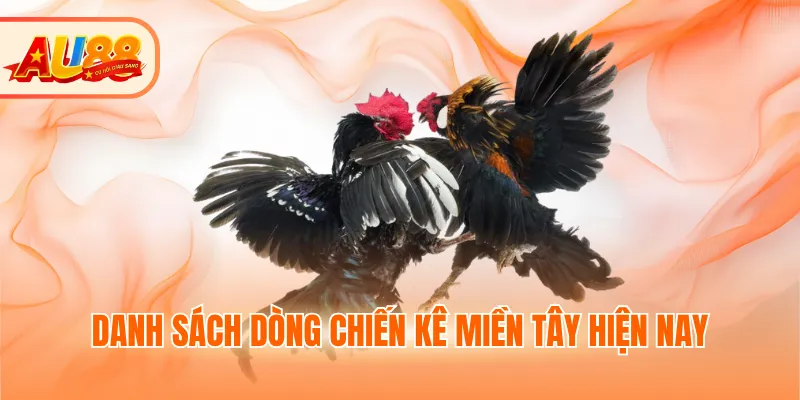 Danh sách dòng chiến kê đá gà miền Tây hiện nay